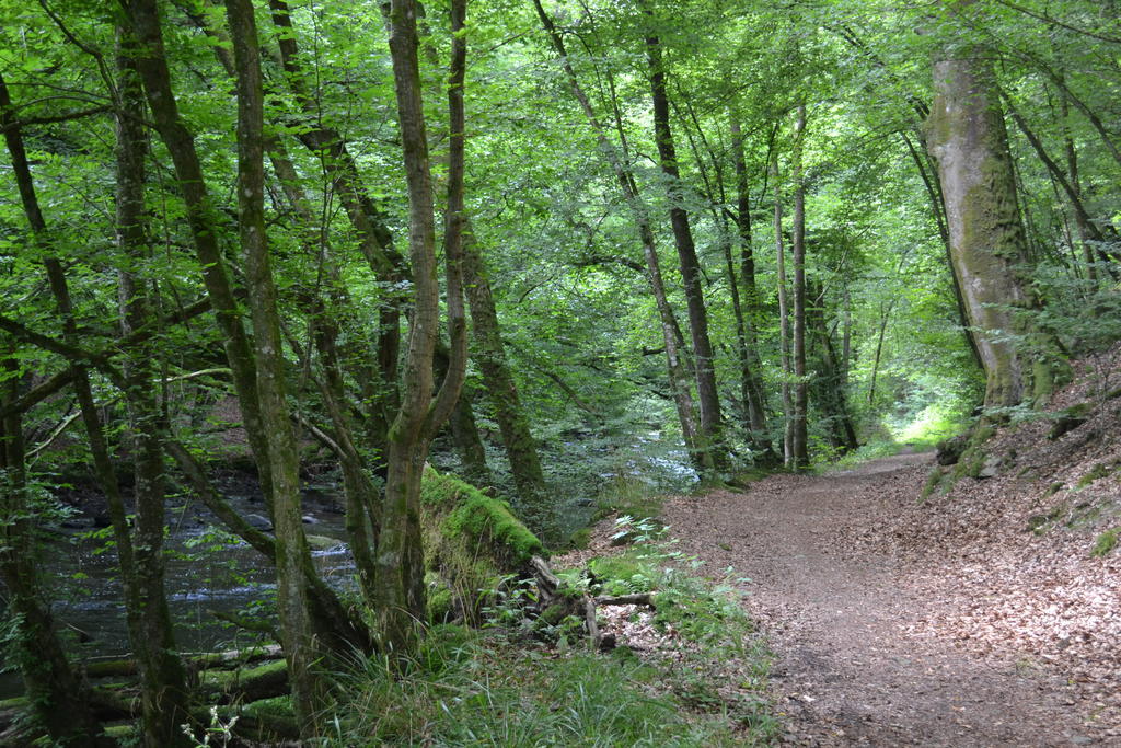 Gite La Clef Des Champs Libin Номер фото